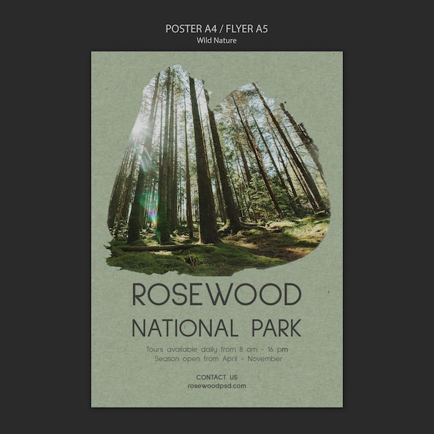 PSD gratuit modèle d'affiche du parc national en bois de rose avec de grands arbres