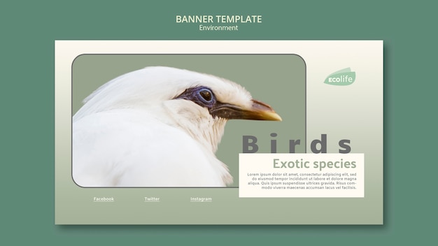 PSD gratuit modèle de bannière avec concept d'environnement