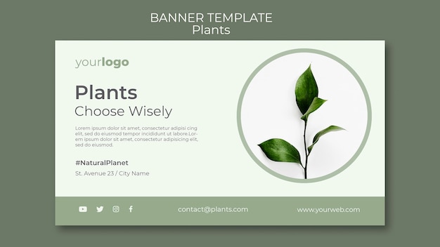 PSD gratuit modèle de bannière de magasin de plantes