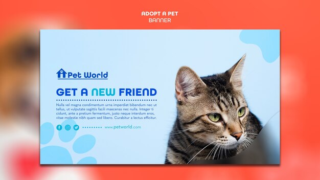 Modèle de bannière pour adoption d'animaux avec chat