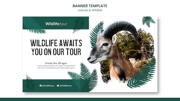 Modèle de bannière de visite de la faune