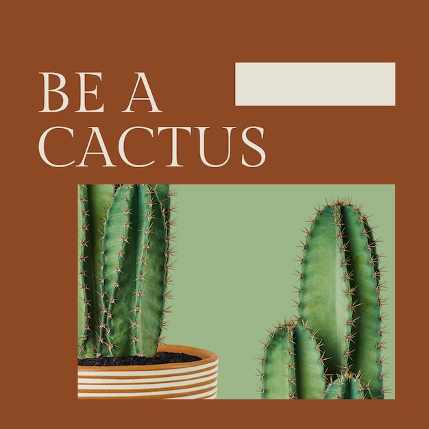 PSD gratuit modèle botanique de citation inspirante psd avec publication sur les réseaux sociaux de cactus dans un style minimal