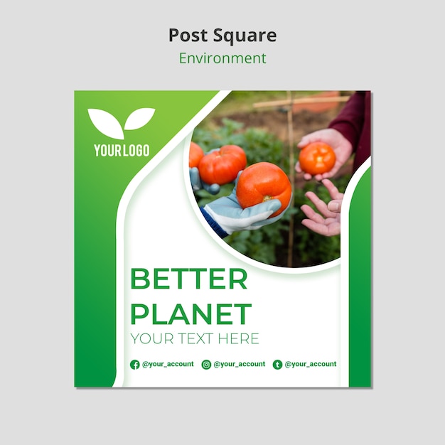 Modèle Carré De Tomates Biologiques Psd gratuit