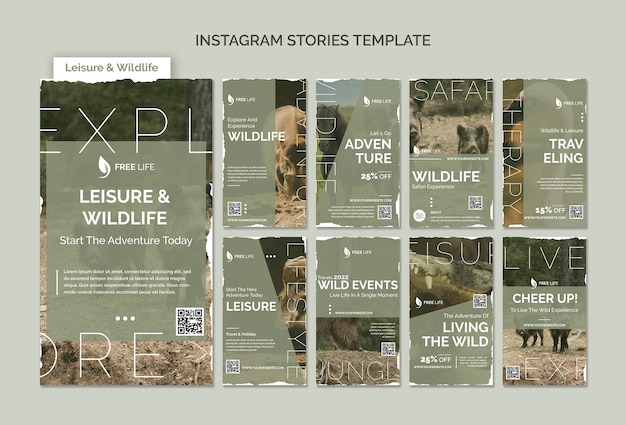 Modèle d'histoires instagram sur les loisirs et la faune