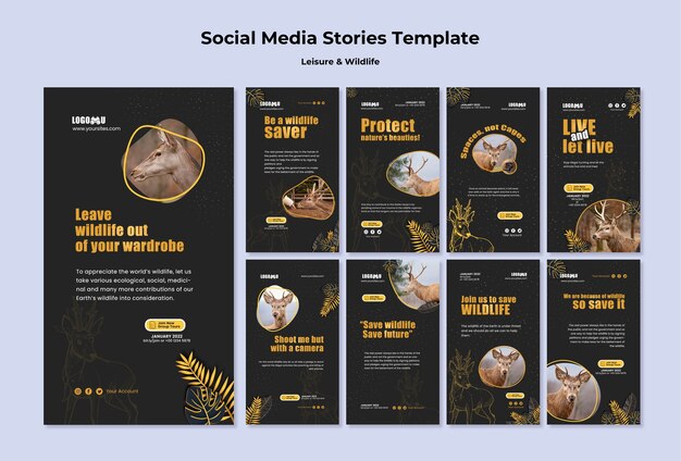 PSD gratuit modèle d'histoires instagram de loisirs et de la faune