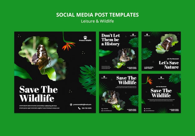 PSD gratuit modèle de médias sociaux instagram de conception de loisirs et de la faune