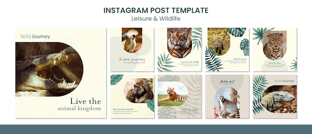 PSD gratuit modèle de publications instagram sur les loisirs et la faune