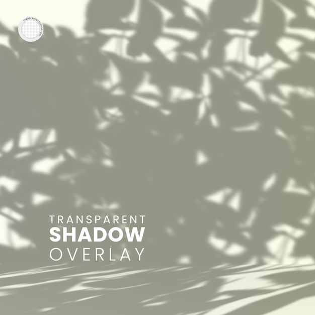 PSD gratuit modèle de superposition d'ombre de feuille de plante transparente
