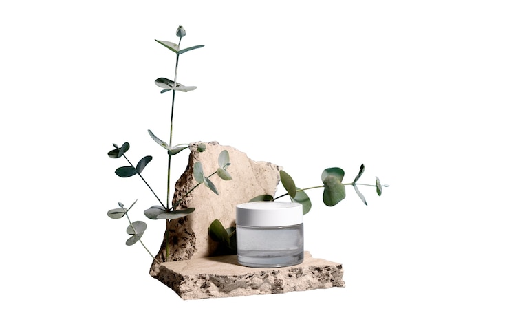 PSD gratuit la nature morte de l'arrangement des herboristes