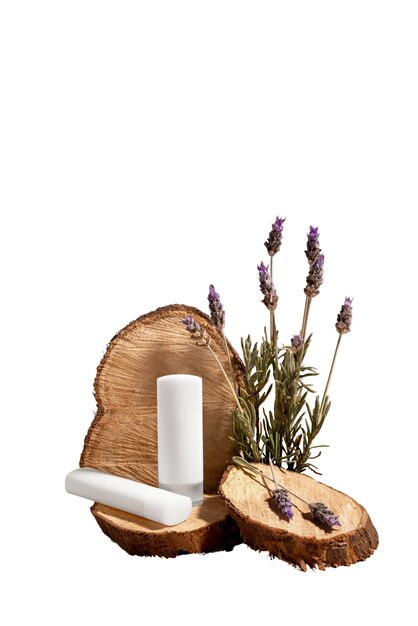 La nature morte de l'arrangement des herboristes
