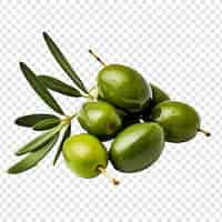 PSD gratuit olives isolées sur fond transparent