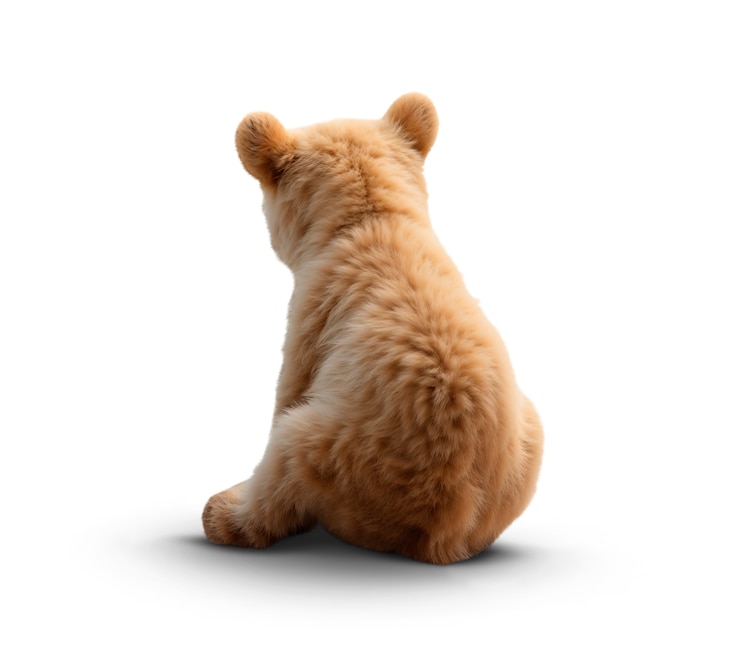 PSD gratuit l'ours adorable isolé