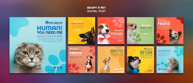 PSD gratuit pack de publications instagram pour l'adoption d'animaux de compagnie avec des animaux