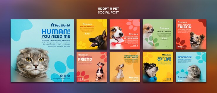 PSD gratuit pack de publications instagram pour l'adoption d'animaux de compagnie avec des animaux