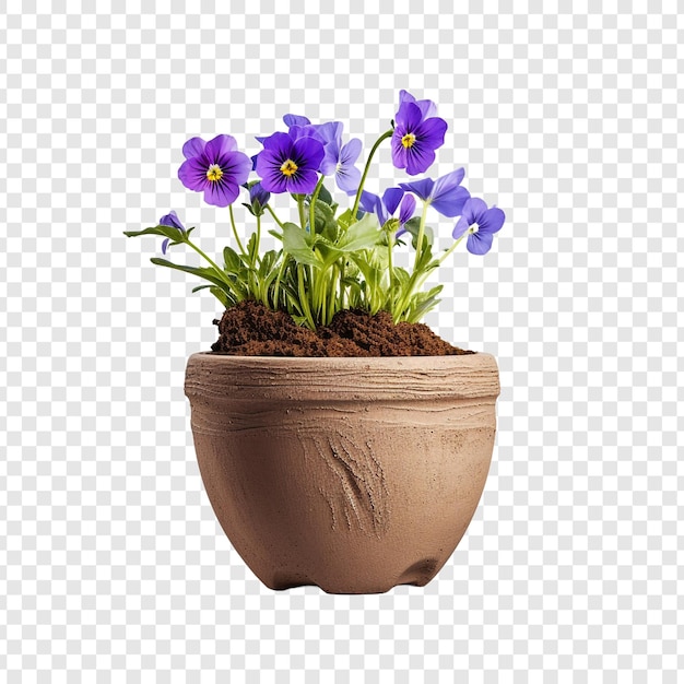 PSD gratuit pot de fleurs isolé sur un fond transparent