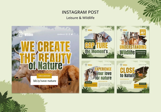 PSD gratuit publication instagram sur les loisirs et la faune