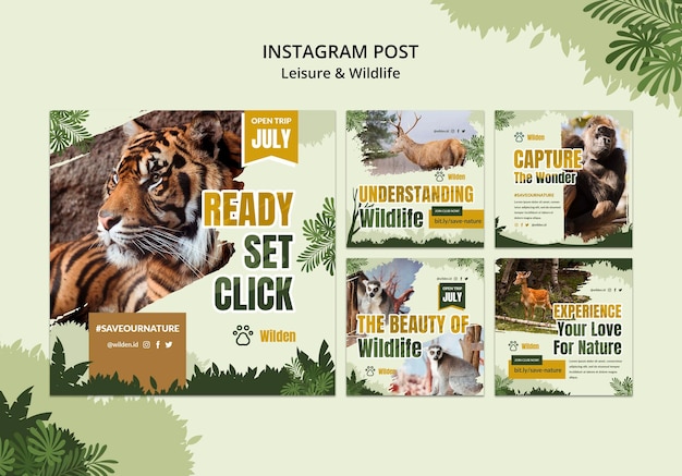 PSD gratuit publication instagram sur les loisirs et la faune