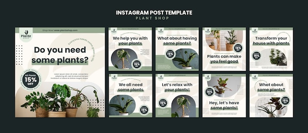 Publications Instagram De Soins Des Plantes Au Design Plat