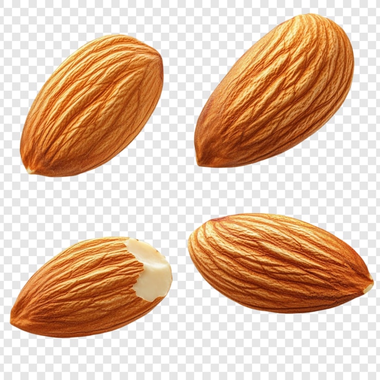 PSD gratuit quatre amandes délicieuses et saines noix parfaite collation nutritive riche en vitamines minéraux et fibres excellent pour stimuler l'énergie et maintenir une alimentation saine