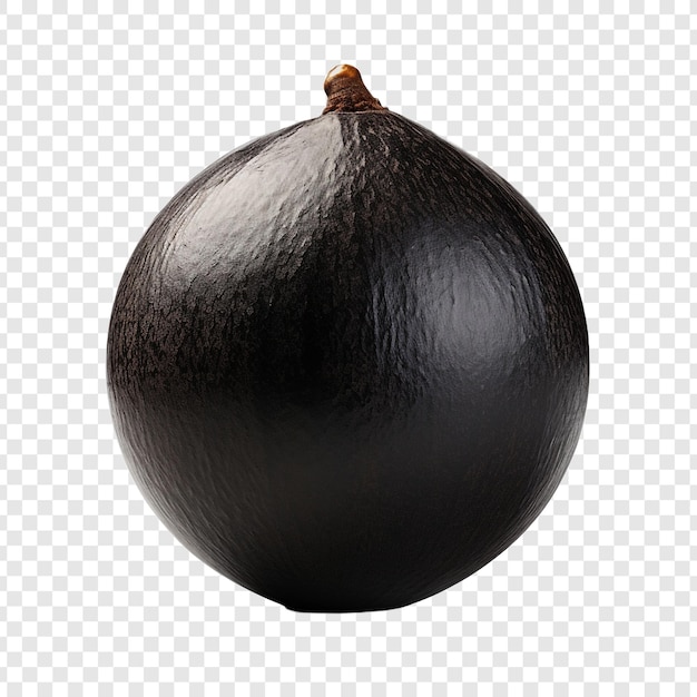 PSD gratuit sapote noir isolé sur fond transparent