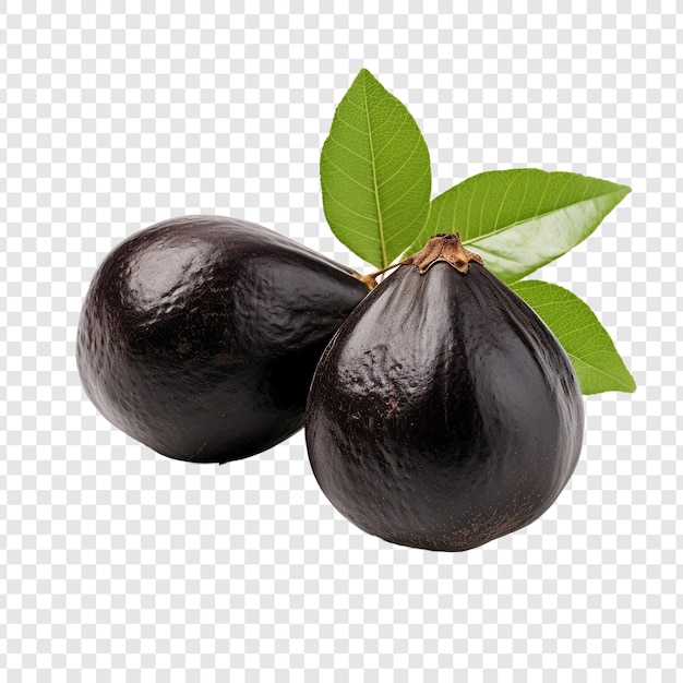 PSD gratuit sapote noir isolé sur fond transparent