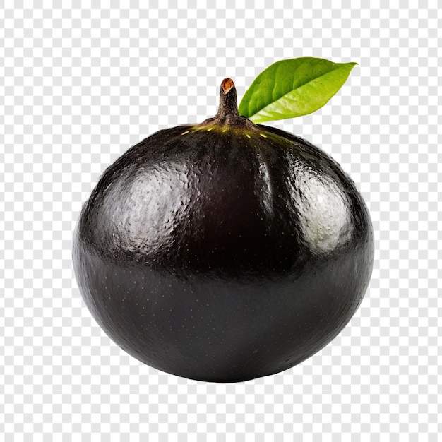 PSD gratuit sapote noir isolé sur fond transparent