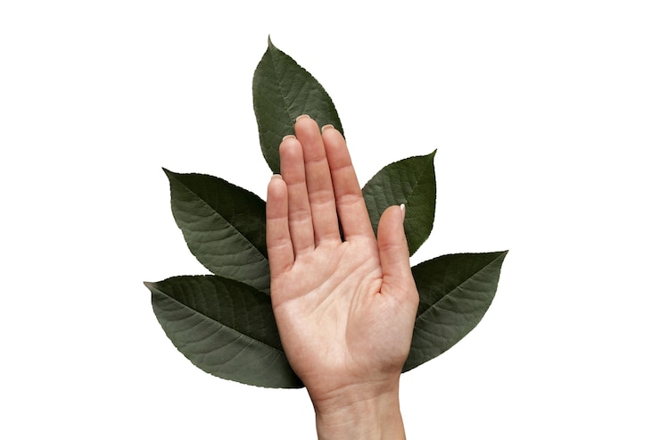 PSD gratuit vue des mains durables avec la nature