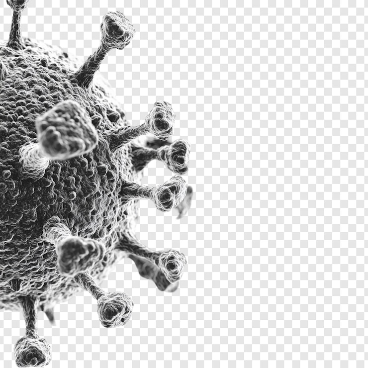 PSD gratuit vue microscopique d'une particule de coronavirus