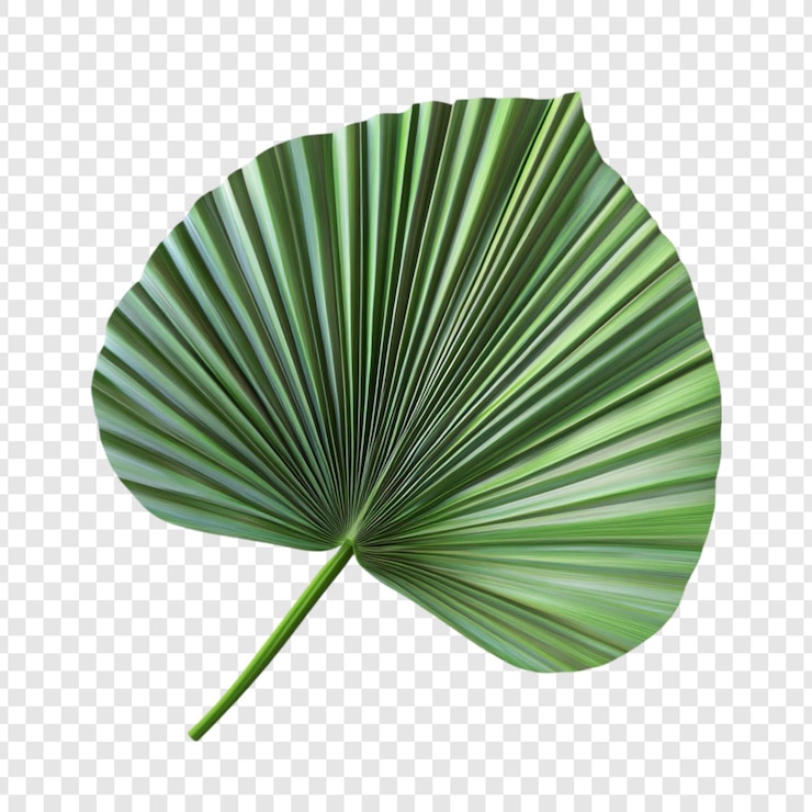 PSD grátis a majestosa folha de palmeira tropical, uma jóia verde vibrante