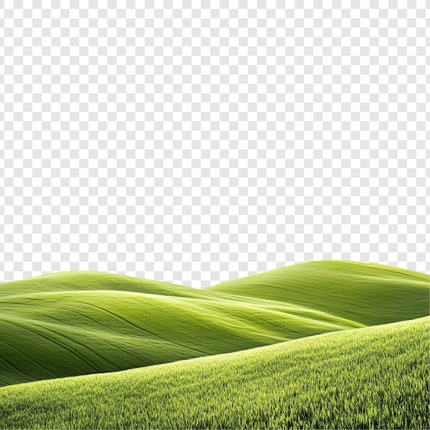 A paisagem serena e verde das Colinas Rolantes