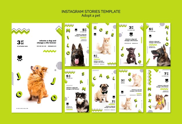 Adote histórias de animais de estimação no instagram