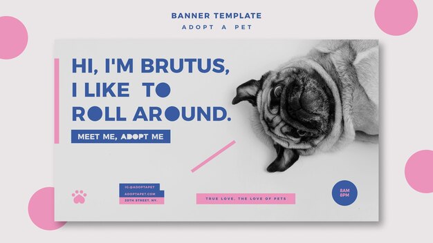 Adote um modelo de banner do conceito de animal de estimação