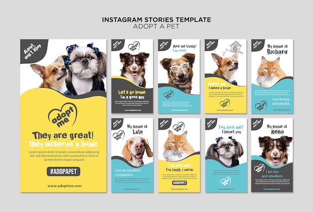 Adote um modelo de histórias de instagram para animais de estimação
