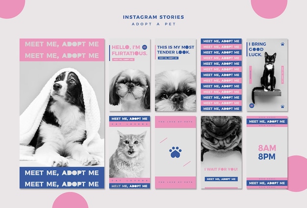 PSD grátis adote um modelo de histórias do instagram de conceito de animal de estimação