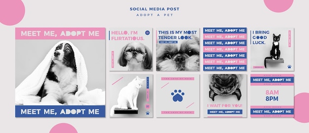Adote um modelo de postagem de mídia social do conceito de animal de estimação