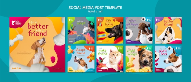PSD grátis adote um modelo de postagem de mídia social para animais de estimação