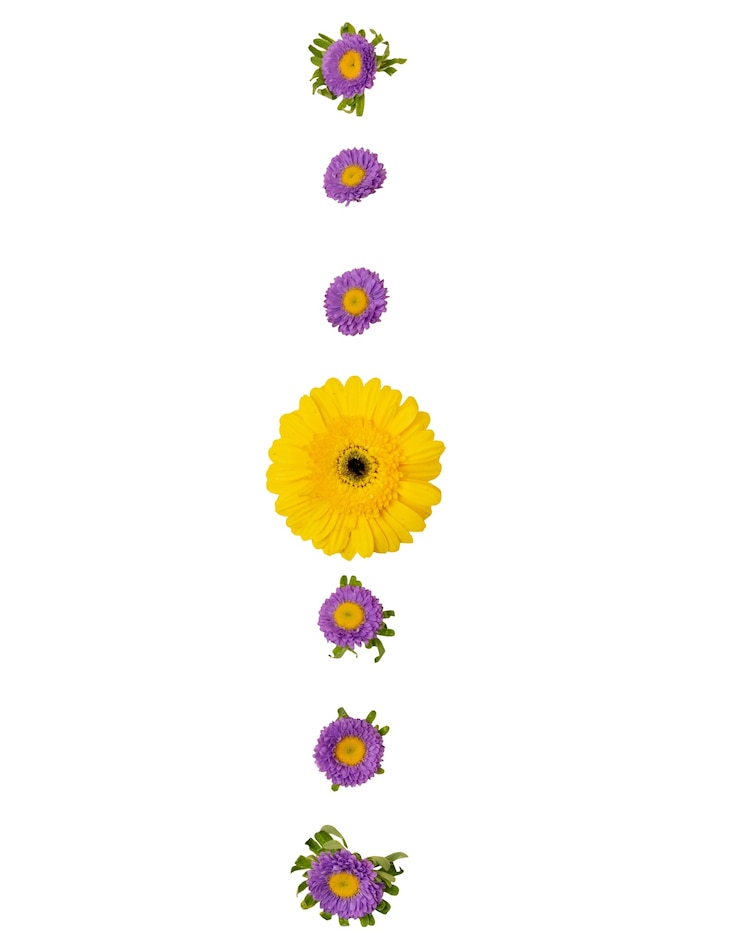 PSD grátis arranjo floral isolado em fundo branco