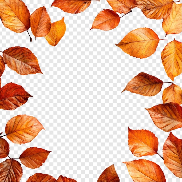As folhas de outono enquadram uma borda dourada de folhagem de outono