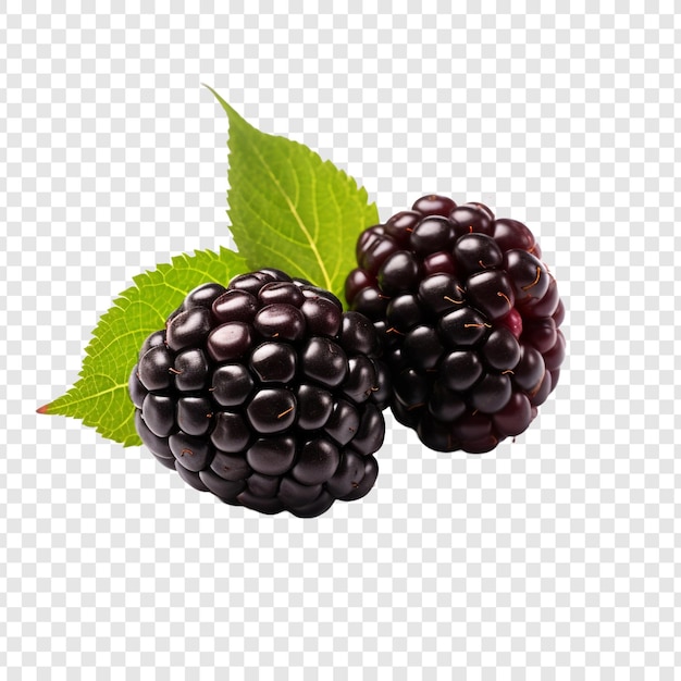 PSD grátis blackberry isolado em fundo transparente