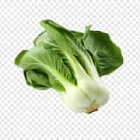 PSD grátis bok choy fresco isolado em fundo transparente