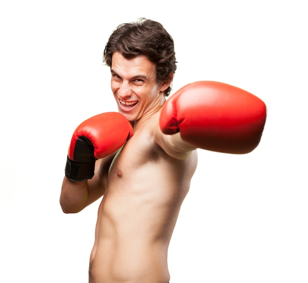 Boxer pronto para lutar