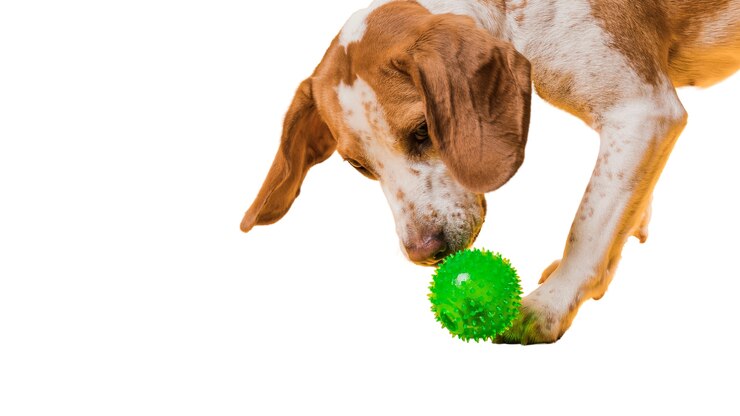 PSD grátis cena com cachorro marrom e branco