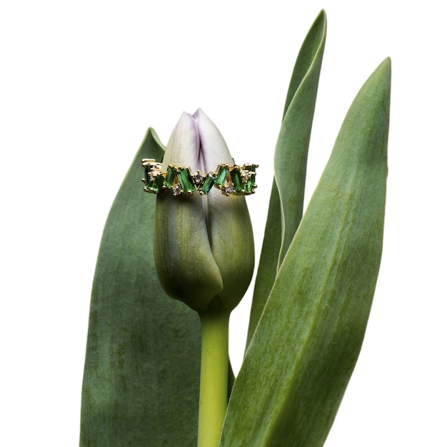 PSD grátis close no anel de ouro na tulipa
