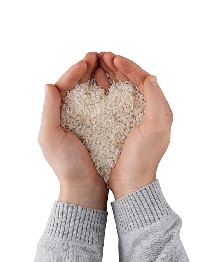 PSD grátis close-up de arroz isolado