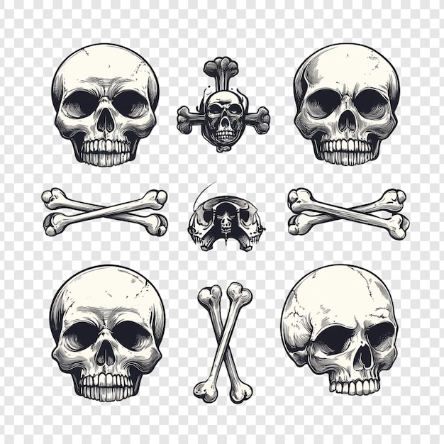 Coleção de crânios e ossos cruzados Um conjunto de design gráfico