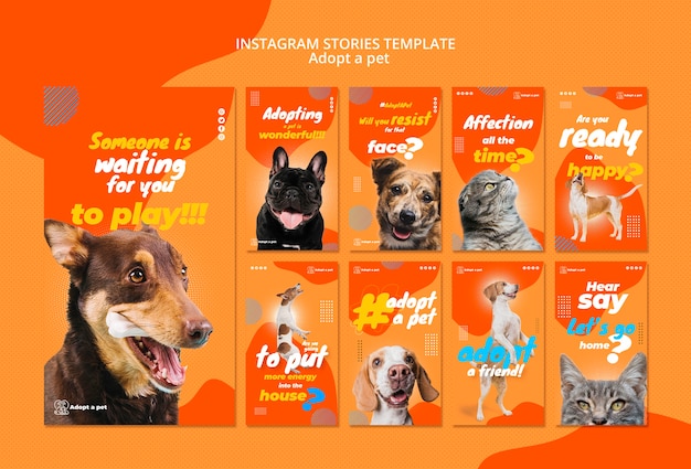 PSD grátis coleção de histórias do instagram para adoção de animais de abrigo