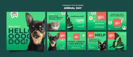 PSD grátis coleção de postagens do instagram do dia dos animais com animais