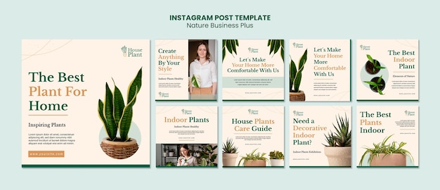 Coleção de postagens do instagram para plantas em vasos internos