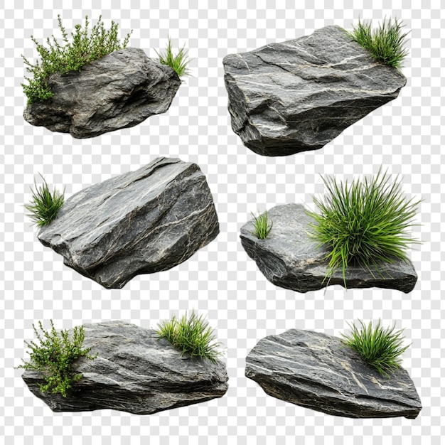 Coleção de rochas cinzentas com plantas verdes