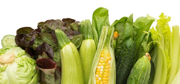 Composição dos frutos isolados